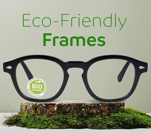 Echo Friendly Glasses