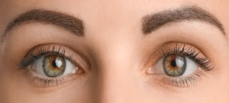 Hazel Eye Colour: Rarity, Interesting Facts and Care Tips