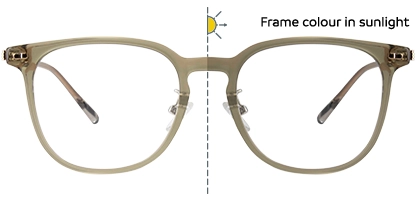  Arlo Transparent Brown