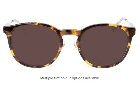 Superdry SDO Freeway 102 Tortoise