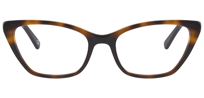 BIO 1030 170 Tortoise 50