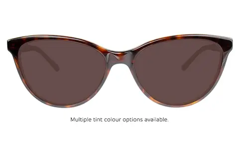 Calvin Klein CK21519 220 53 Brown Havana