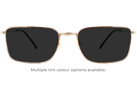 CK22109T 213 53 Havana/Gold