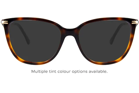 CK22500 220 54 Brown Havana