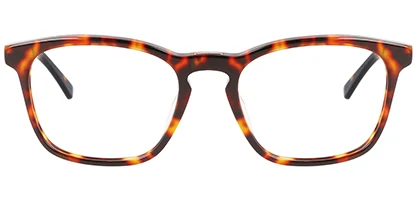 CK22503 609 53 Burgundy Havana