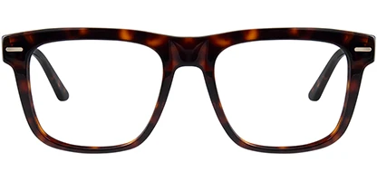 CK22538 240 55 Tortoise