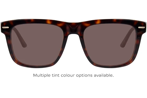 CK22538 240 55 Tortoise