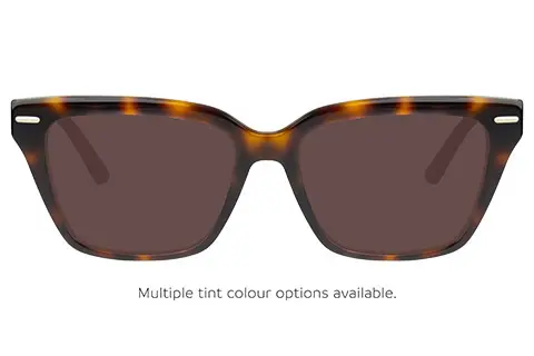 Calvin Klein CK22539 249 Tortoise