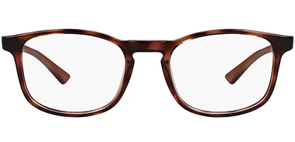 CK23517 240 50 Havana