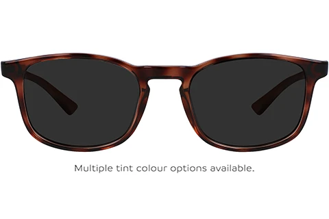 CK23517 240 50 Havana