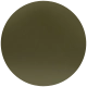 Olive Havana