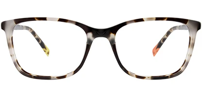 DK5055 275 53 Bone Tortoise