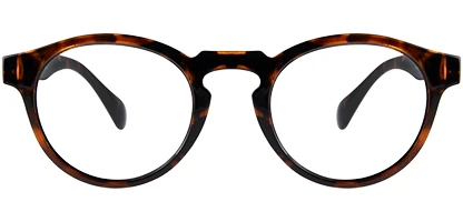 Alfie 48 Shiny Tortoise