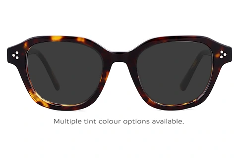 Atlas Tortoise 47