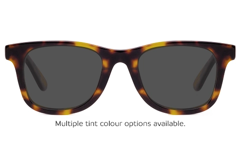 Calix 45 Tortoise 50