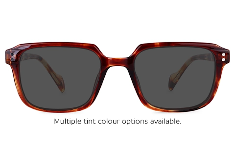 Devan 11 Tortoise 51