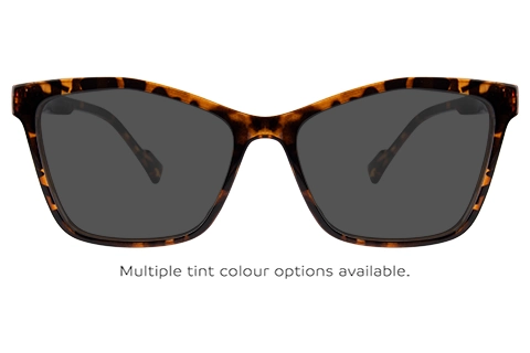 Emily 52 Shiny Tortoise