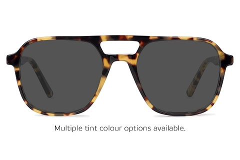 Harbour 45 Yellow Tortoise 52