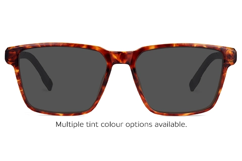 Iman 11 Tortoise 55