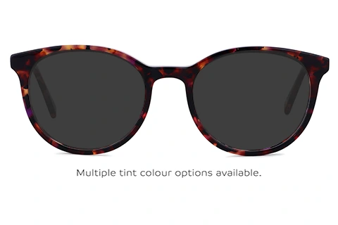 June Blue Tortoise 51