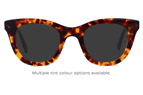 Lytton Tortoise 48