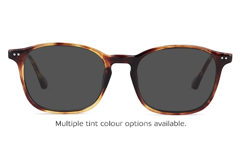 Norris 49 Tortoise