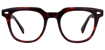 Nova 11 Tortoise 49