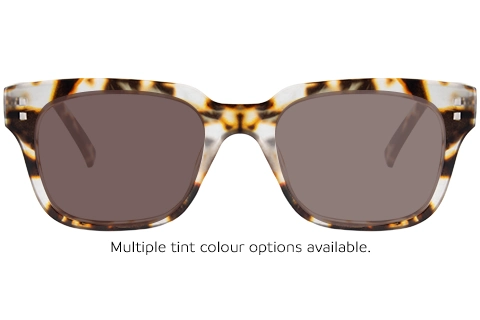 Pierre 48 Tortoise
