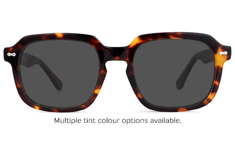Shay 11 Tortoise 52