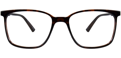 Tate 51 Shiny Tortoise