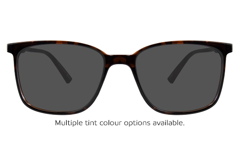 Tate 51 Shiny Tortoise