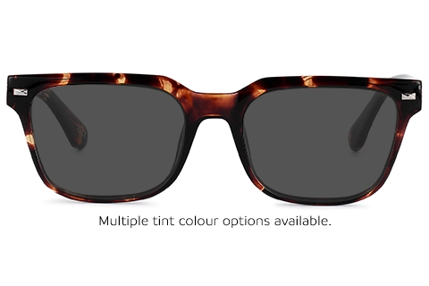 Terra 52 Tortoise