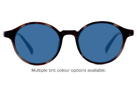 Tilly 12 Tortoise 48