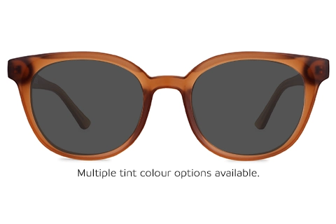 Zohar 10 Brown 50