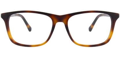 GA3268 056 54 Tortoise