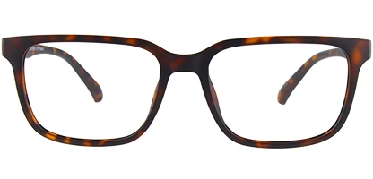 GA50042 052 55 Dark Havana