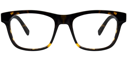 L2933 230 54 Dark Tortoise