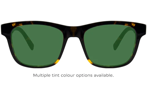 L2933 230 54 Dark Tortoise