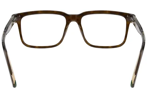 Lacoste L2946 219 55 Havana Brown