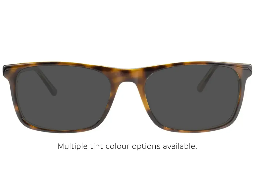 Calvin Klein CK20503 250 Soft Tortoise/Sage 55