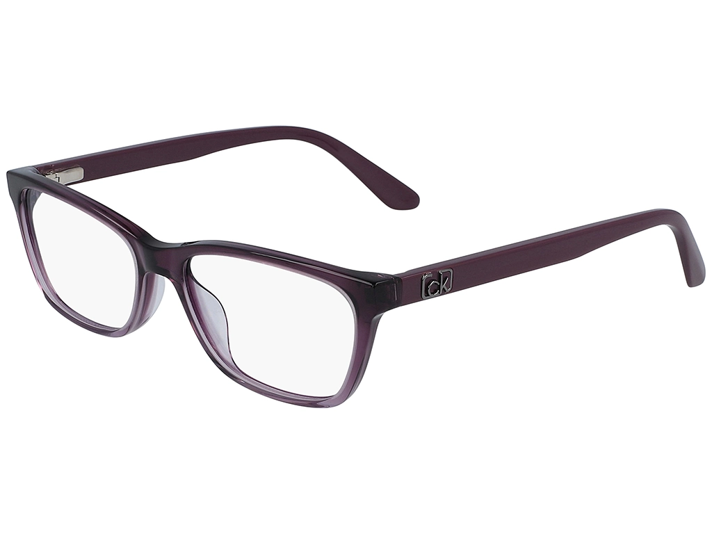 Calvin Klein CK20530 515 53 Plum Gradient