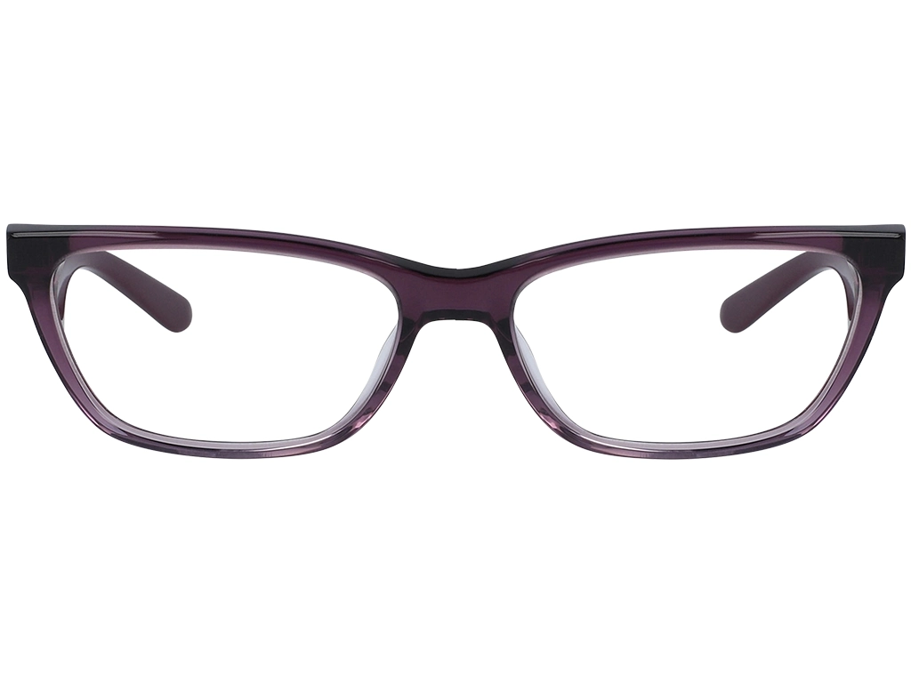 Calvin Klein CK20530 515 53 Plum Gradient