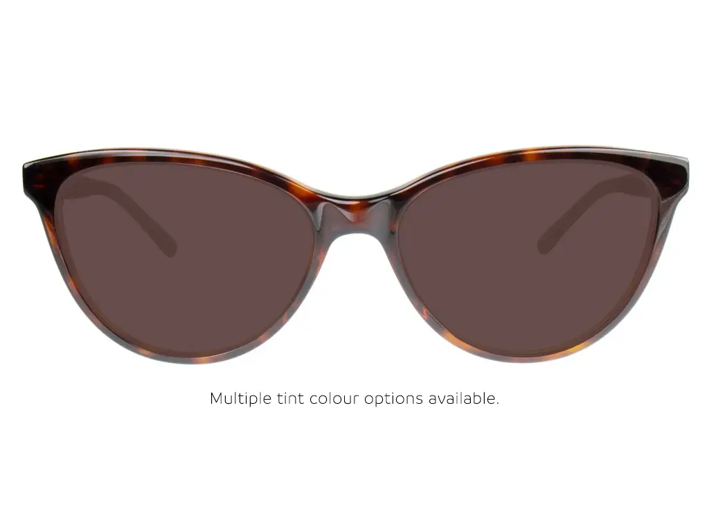 Calvin Klein CK21519 220 53 Brown Havana