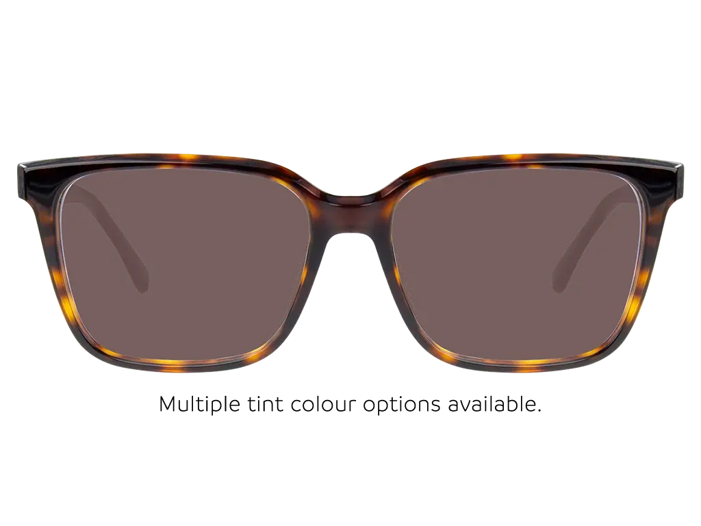 Calvin Klein CK21520 220 Brown Havana