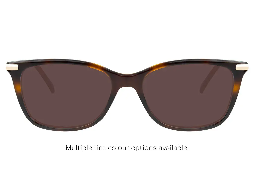 Calvin Klein CK22501 220 Brown Havana