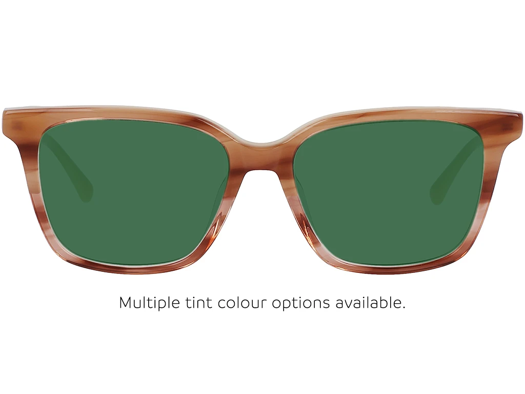 Calvin Klein CK22540 259 51 Striped Brown