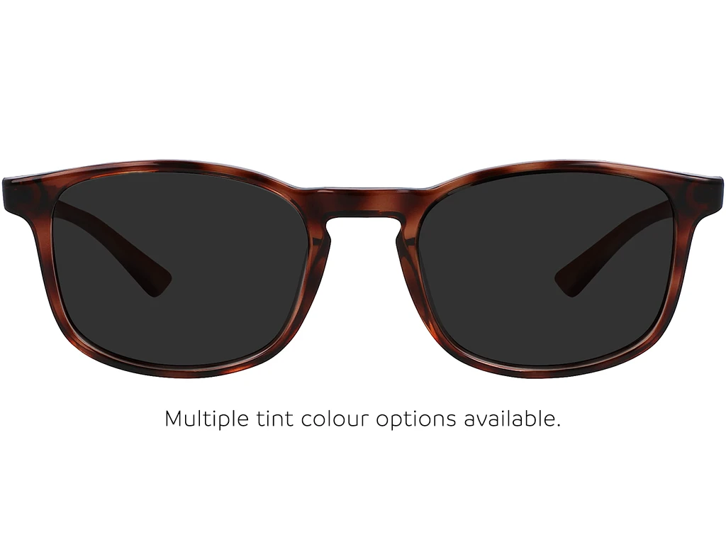 Calvin Klein CK23517 240 50 Havana