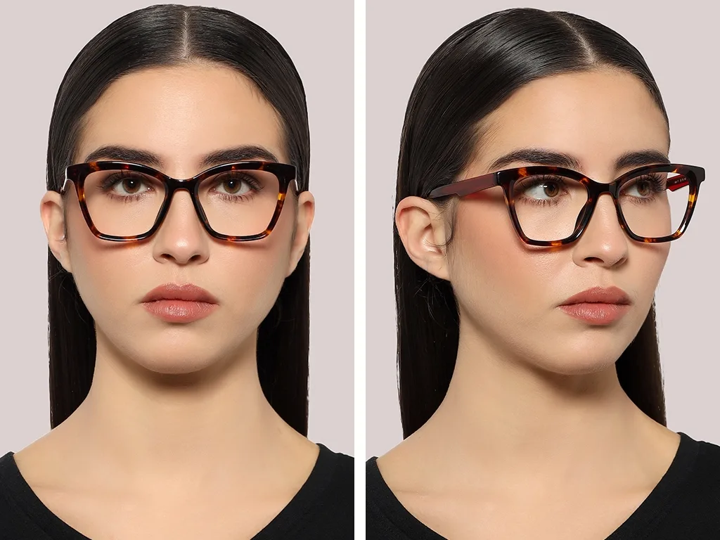 Feel Good Collection Aden 11 Tortoise 50