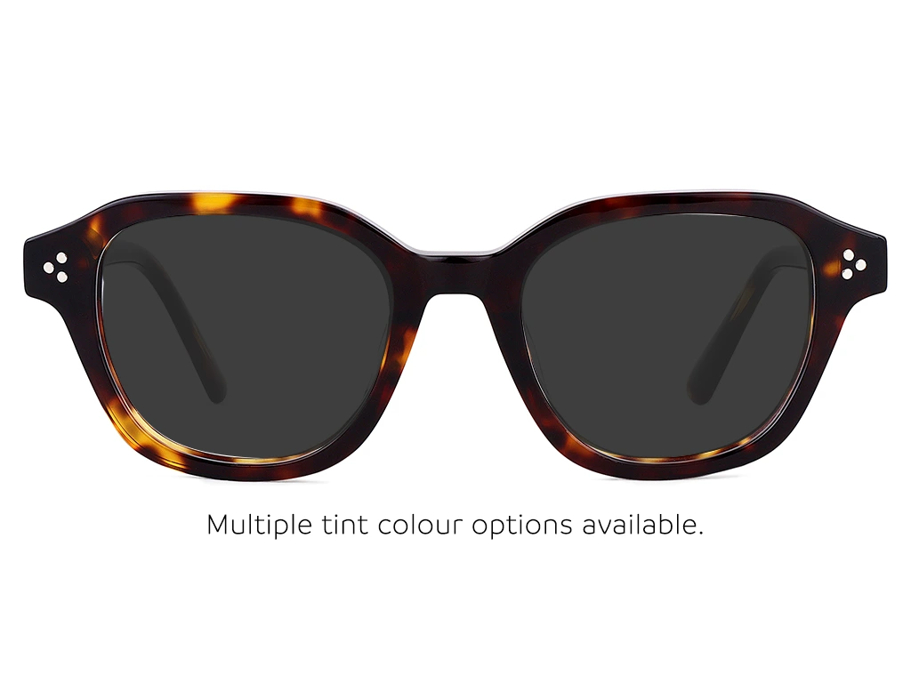 Feel Good Collection Atlas Tortoise 47