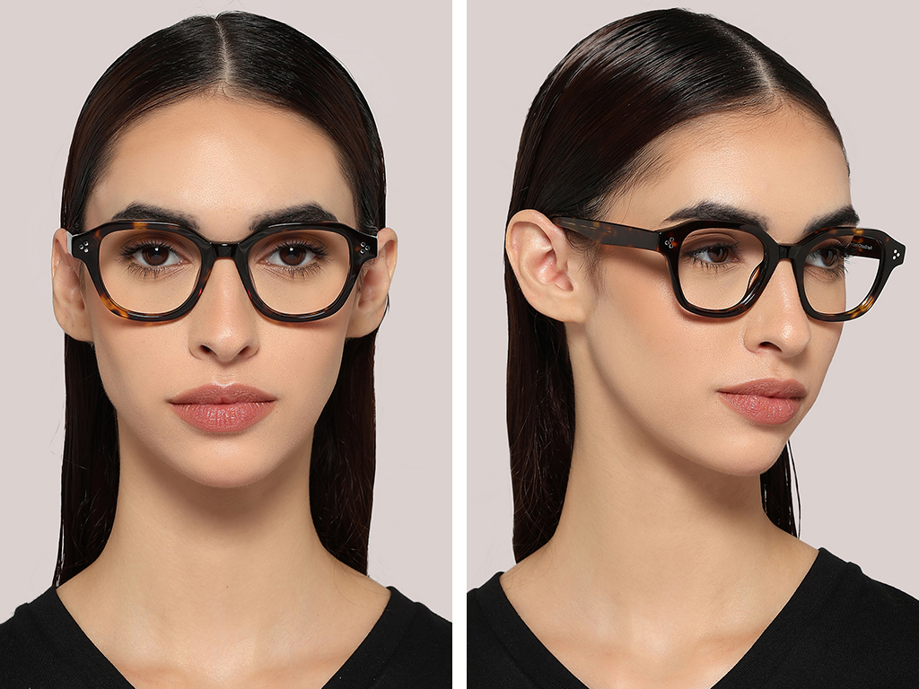 Feel Good Collection Atlas Tortoise 47